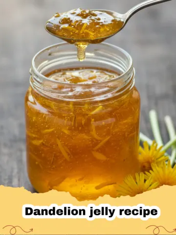 Homemade Dandelion Jelly: Capturing Spring Sunshine in a Jar