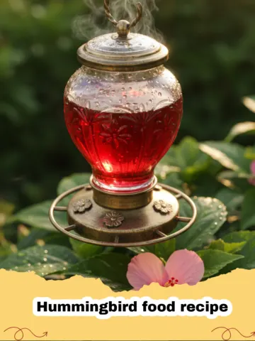 The Best Homemade Hummingbird Food Recipe for Your Garden Sanctuary