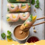 spring roll recipe - Golden brown crispy homemade spring rolls on a plate with dipping sauce.