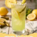 Pickle Lemonade - Tall glass of pickle lemonade with lemon slices and a pickle spear, garnished with fresh dill.
